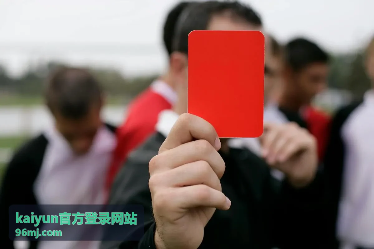 使用手机访问kaiyun官方登录网站的自适应登录页面